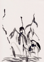 http://www.soerenhiob.com/files/gimgs/th-99_4  7.jpg